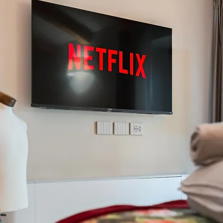 Palazzo Stupino - La Scala Apartment Alba (Piedmont)